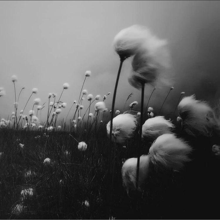 reconnaître une relation déséquilibrée – thérapie de couple à Briançon